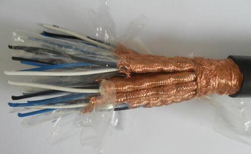 安徽DJVP2V 电子计算机电缆