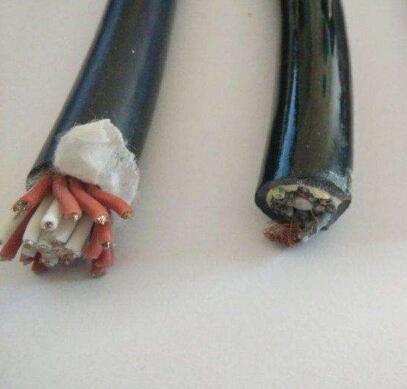 双绞高柔性拖链控制电缆