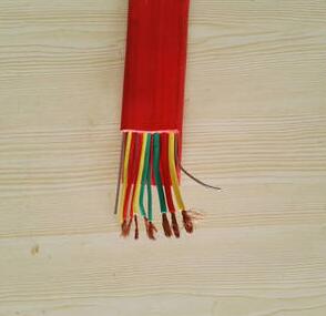 双钢丝柔性扁平电缆