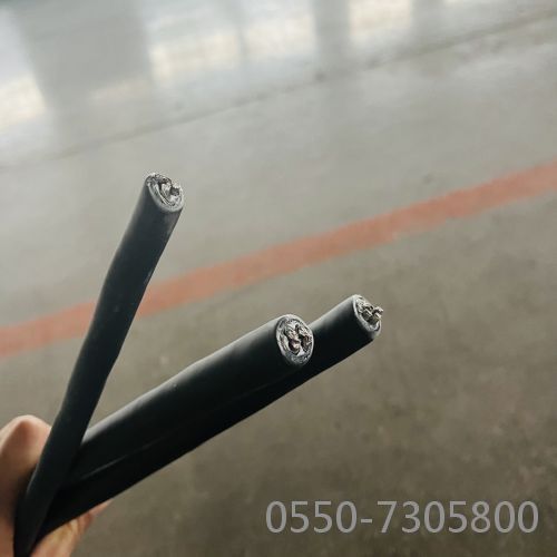 TX-GS-VVP2补偿电缆明细