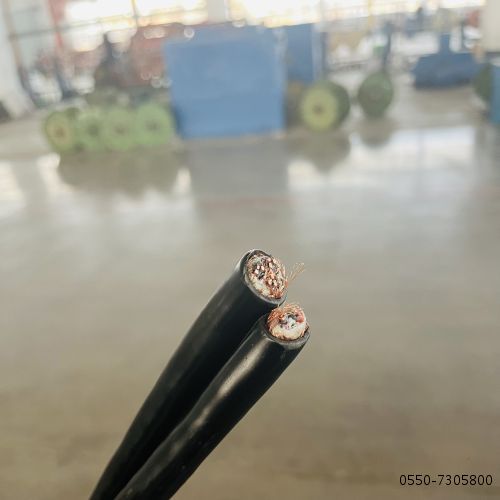 SC-GB-VVP2 25*2*2.5补偿电缆