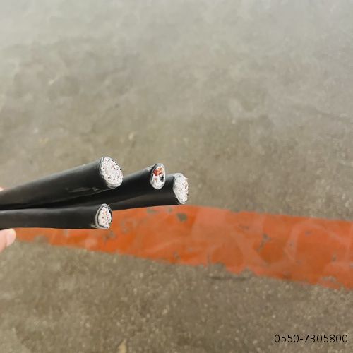 ZA-EX-GB-VV 31*2*2.5补偿电缆