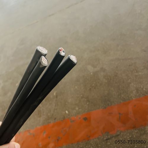 ZA-EX-HS-VV 32*2*2.5补偿电缆