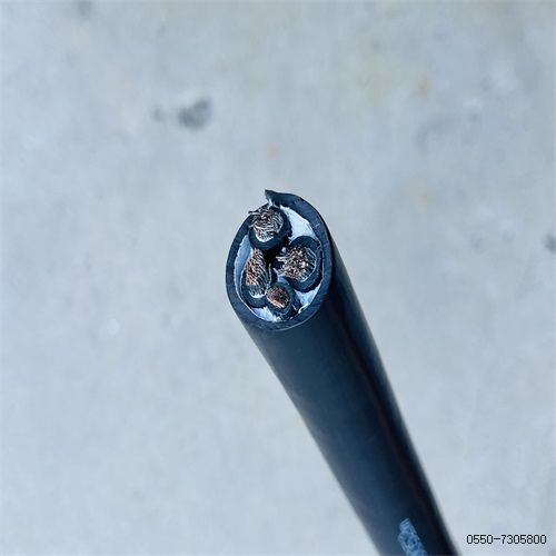 特种电缆厂家187.jpg