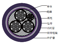 安徽ZR-YJV22、ZR-VV22电力电缆厂家